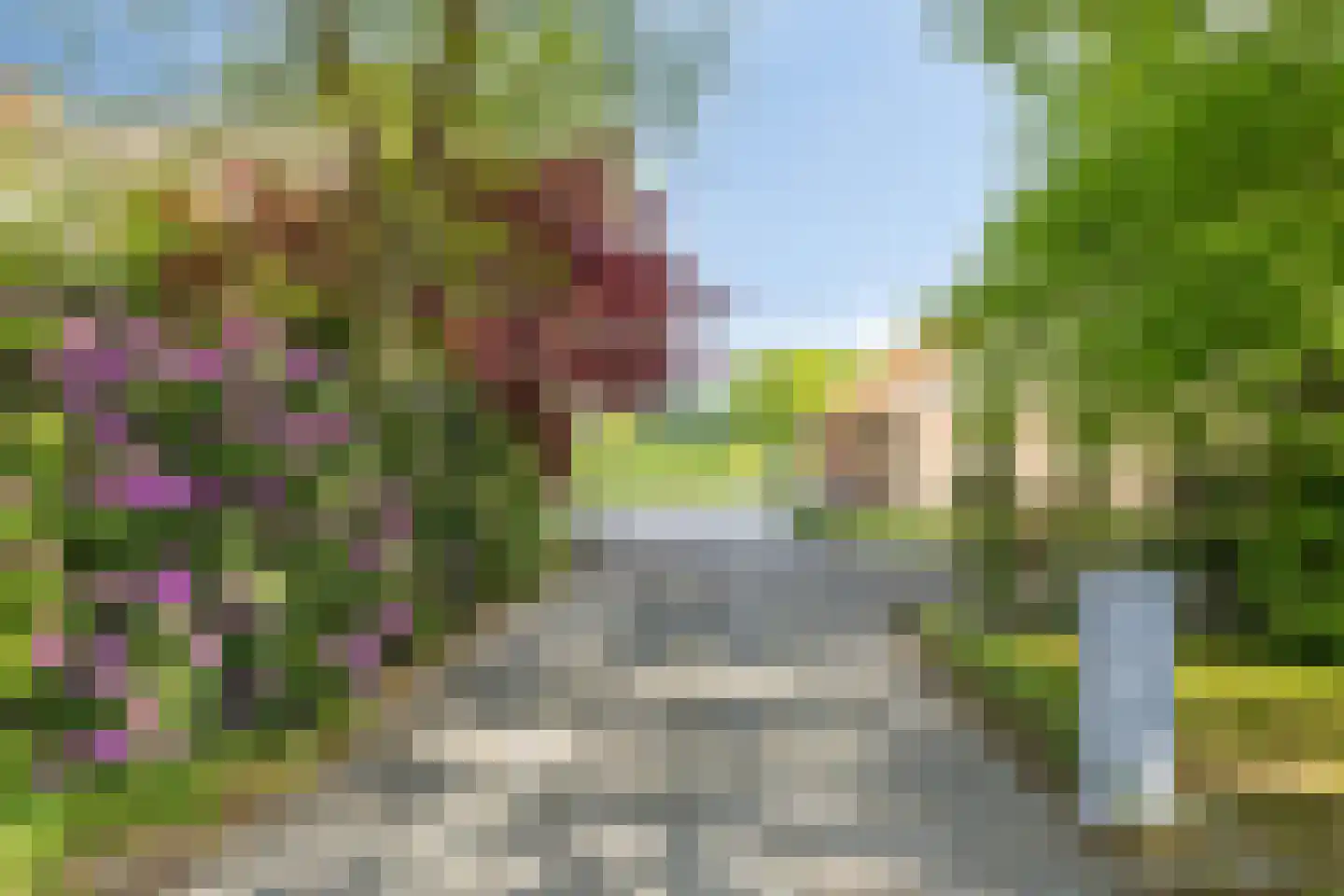 Witteweg 33 Langeveen thumbnail 32