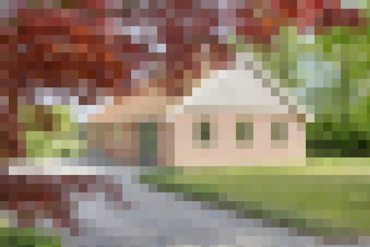 Witteweg 33 Langeveen thumbnail 33