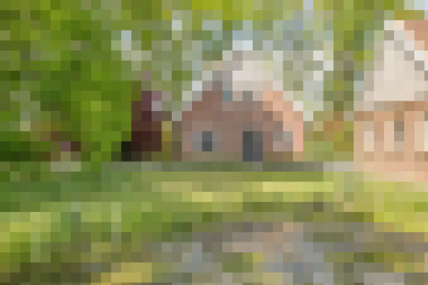 Witteweg 33 Langeveen thumbnail 34