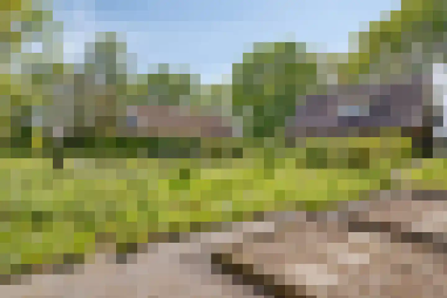 Witteweg 33 Langeveen thumbnail 5