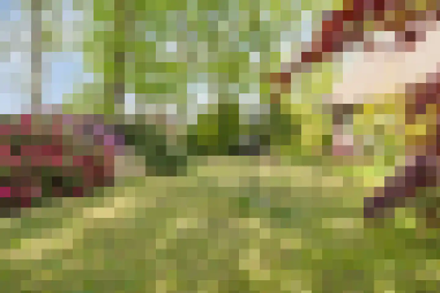 Witteweg 33 Langeveen thumbnail 51