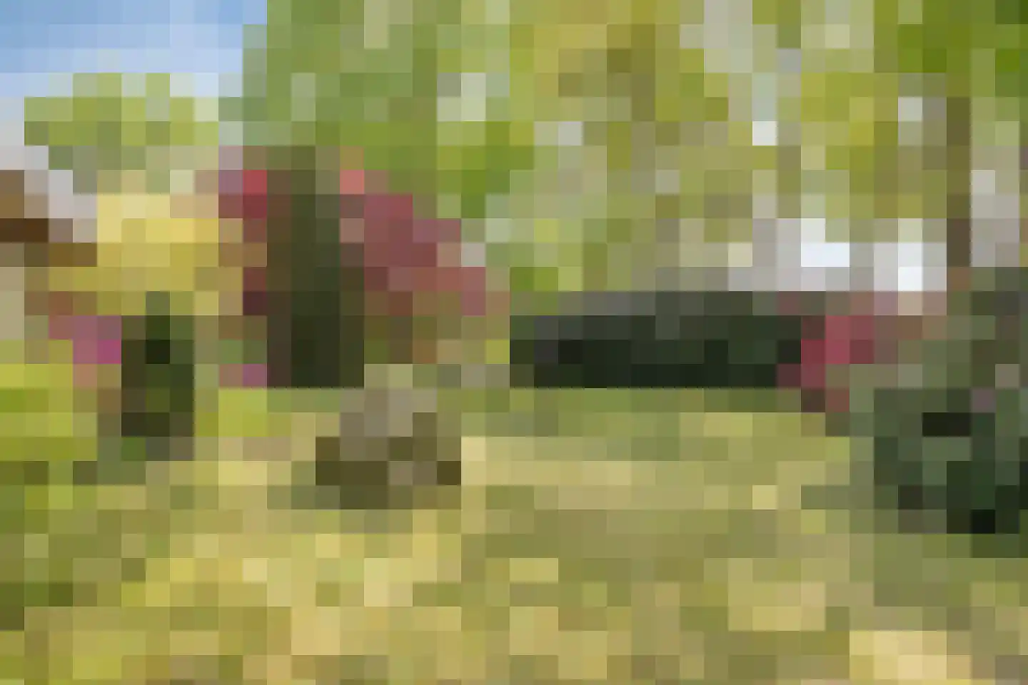 Witteweg 33 Langeveen thumbnail 52