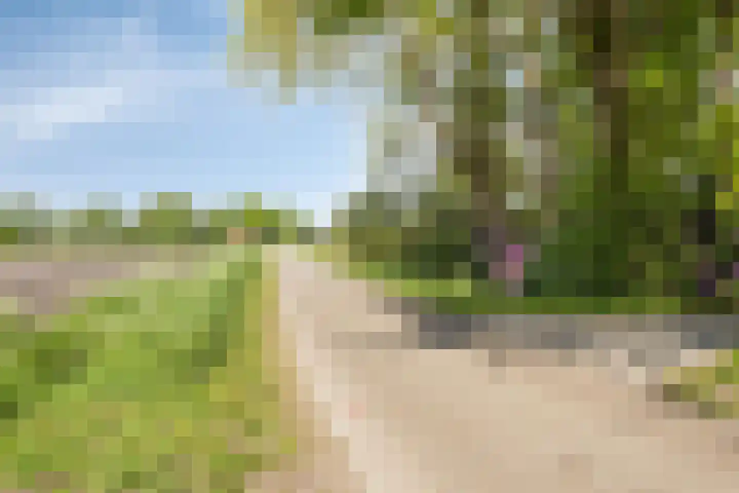Witteweg 33 Langeveen thumbnail 53