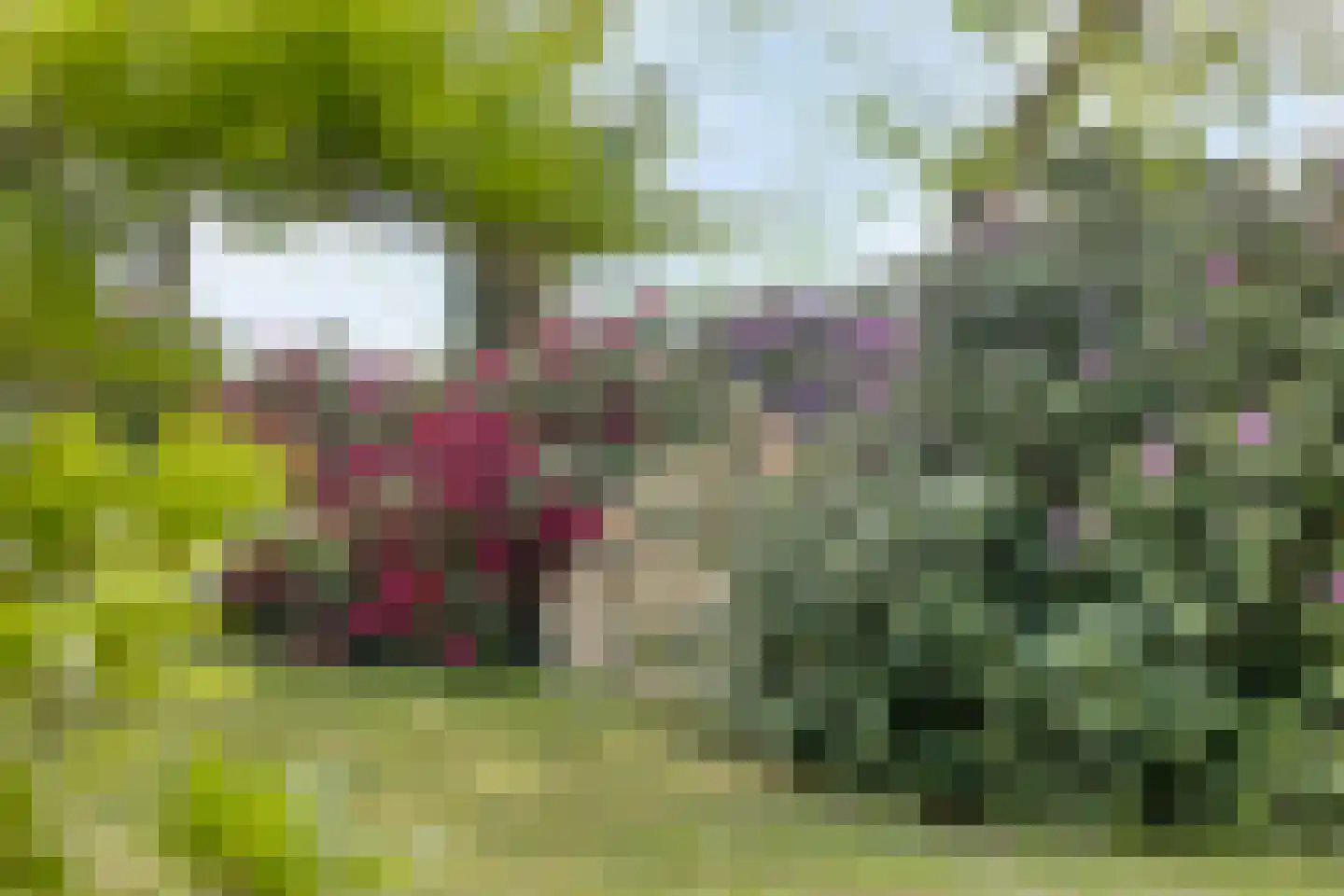 Witteweg 33 Langeveen thumbnail 54