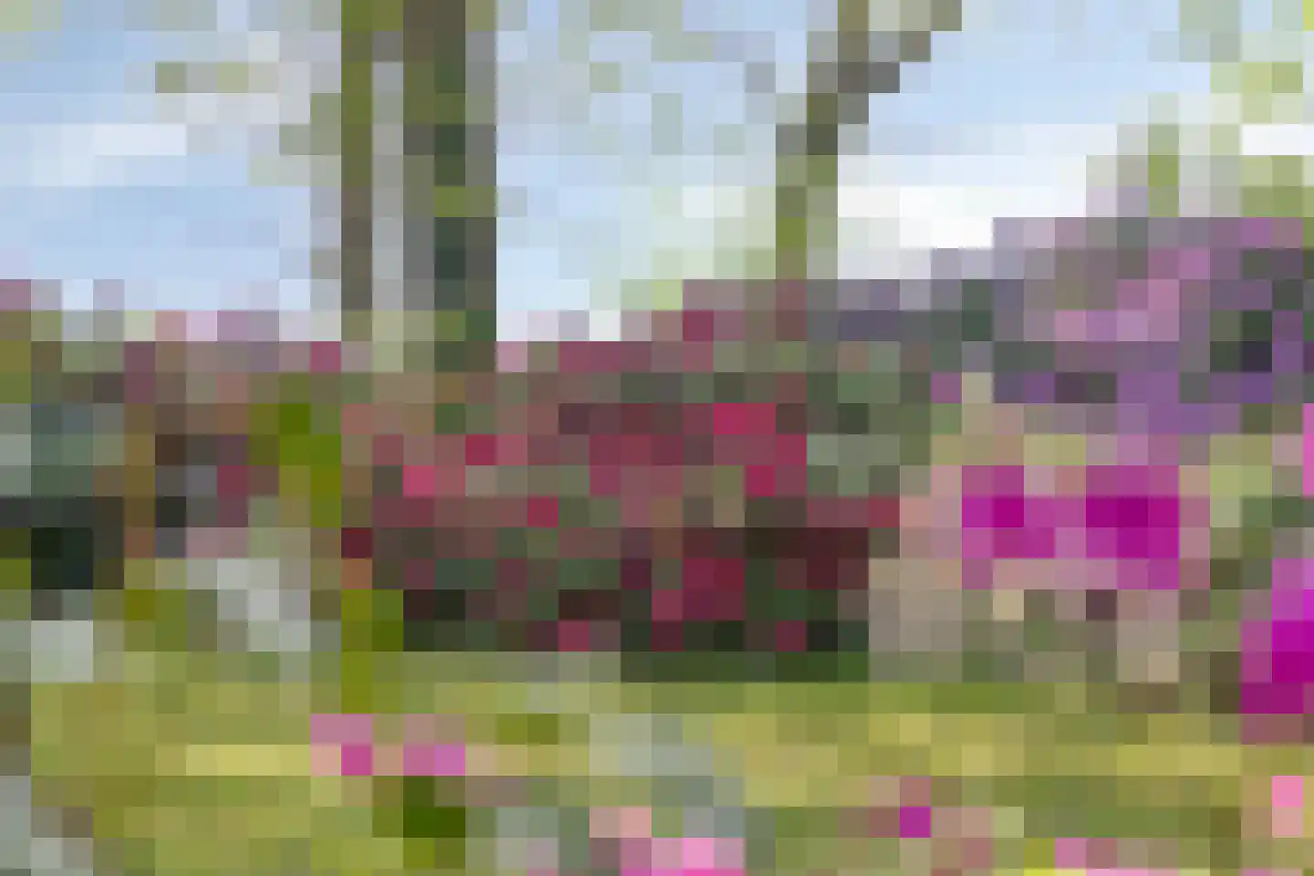 Witteweg 33 Langeveen thumbnail 55