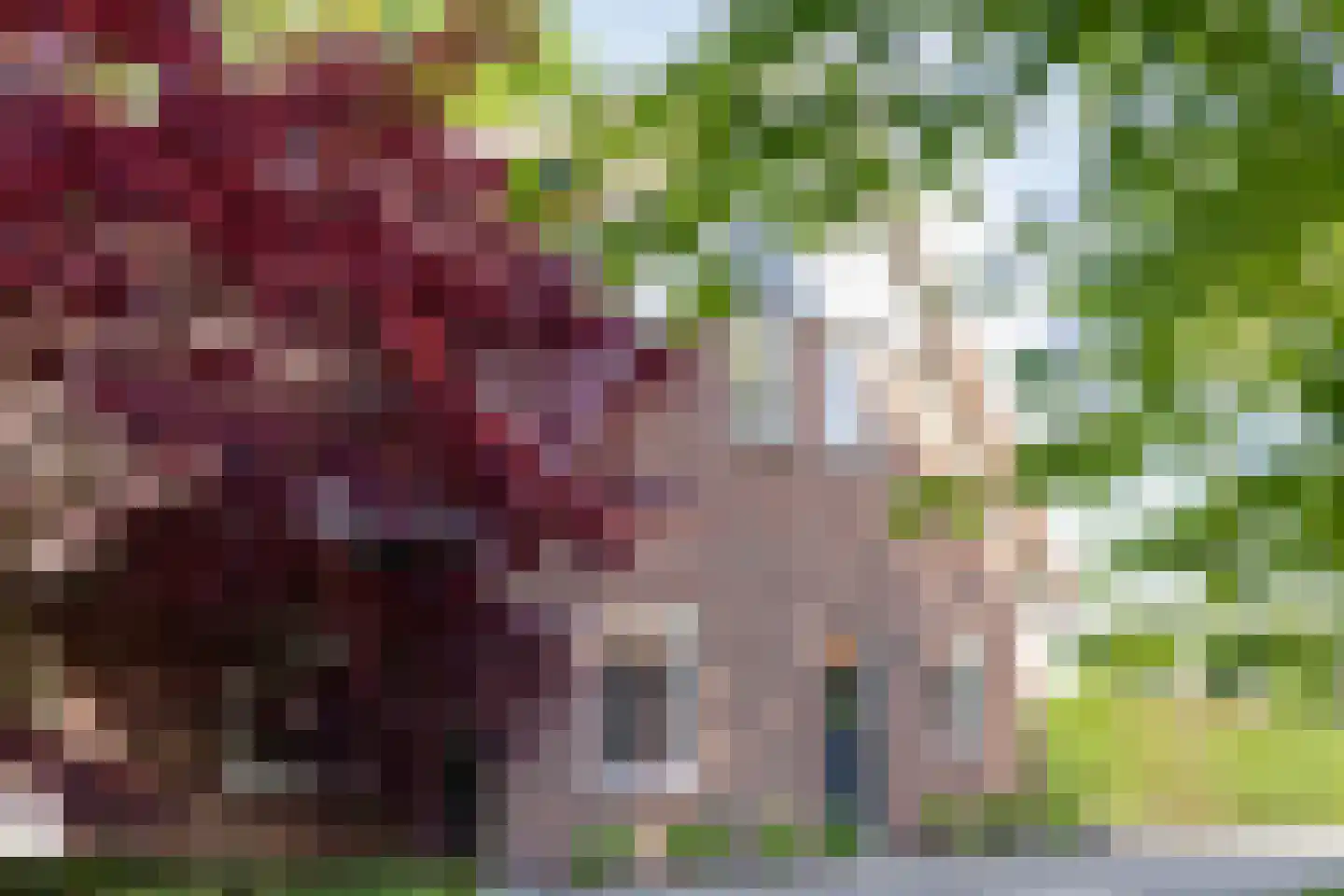 Witteweg 33 Langeveen thumbnail 56