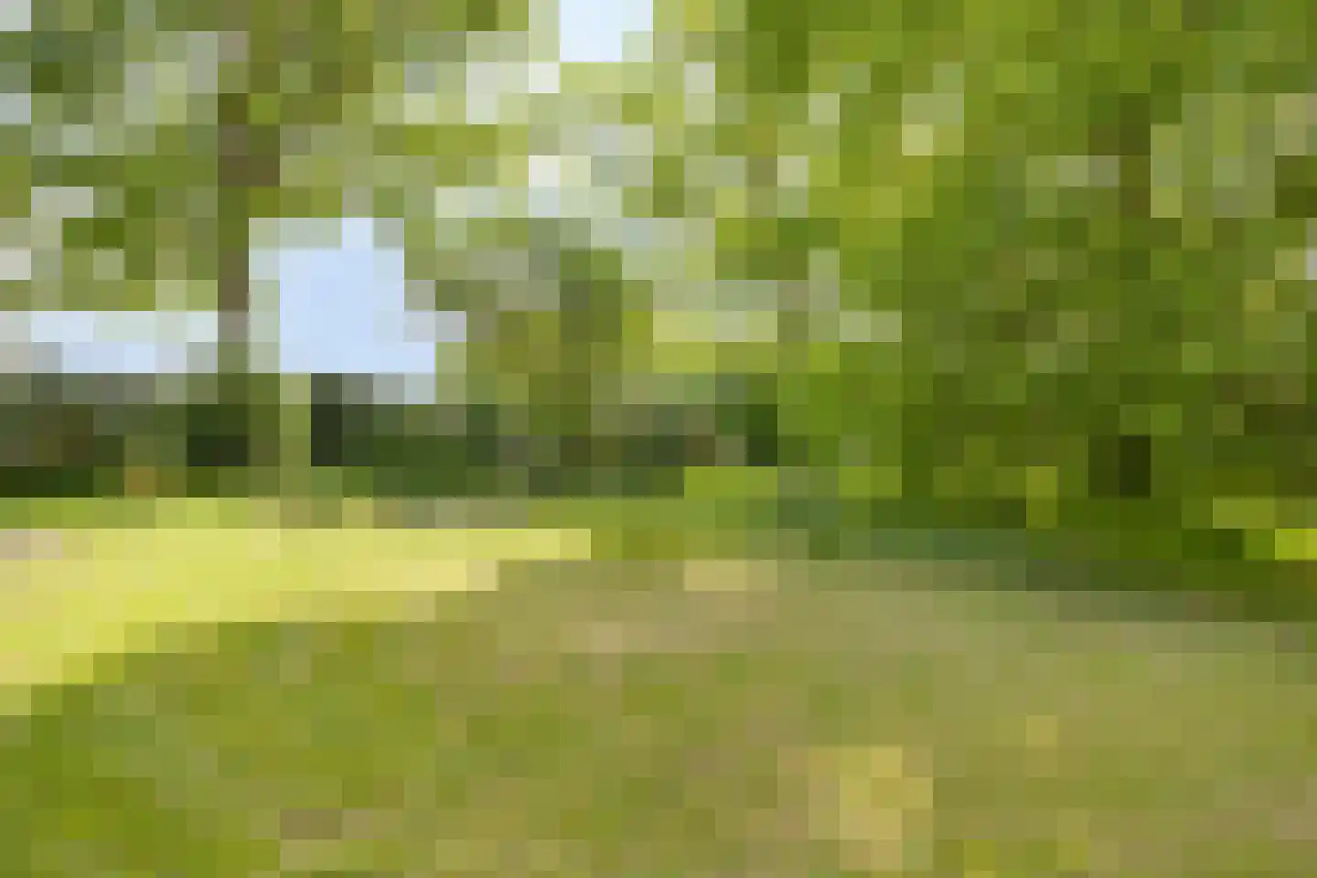 Witteweg 33 Langeveen thumbnail 57