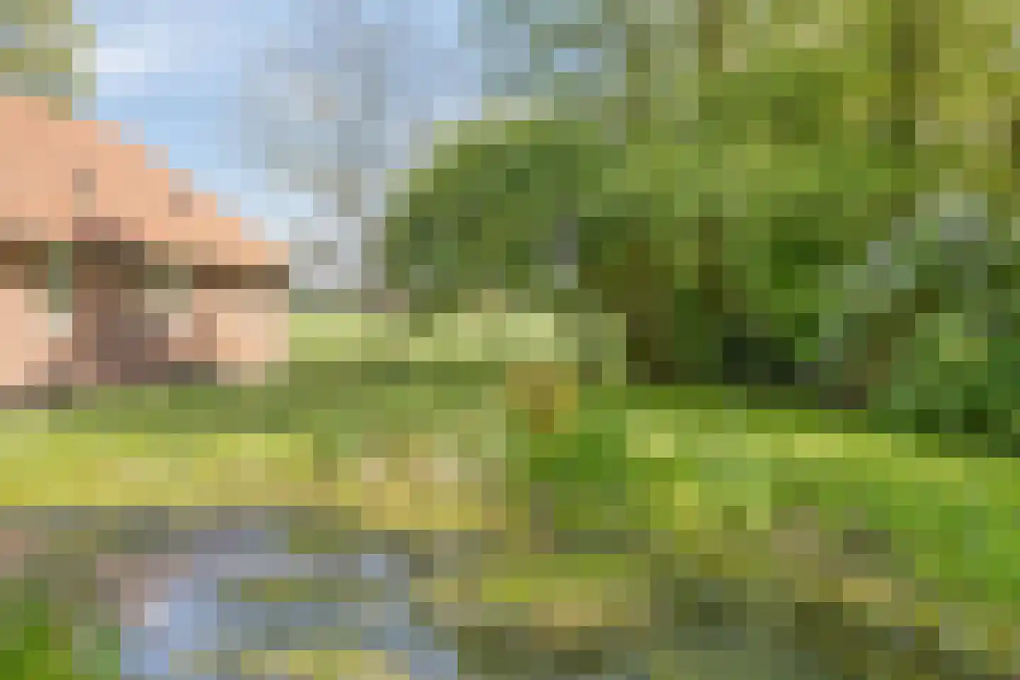 Witteweg 33 Langeveen thumbnail 58