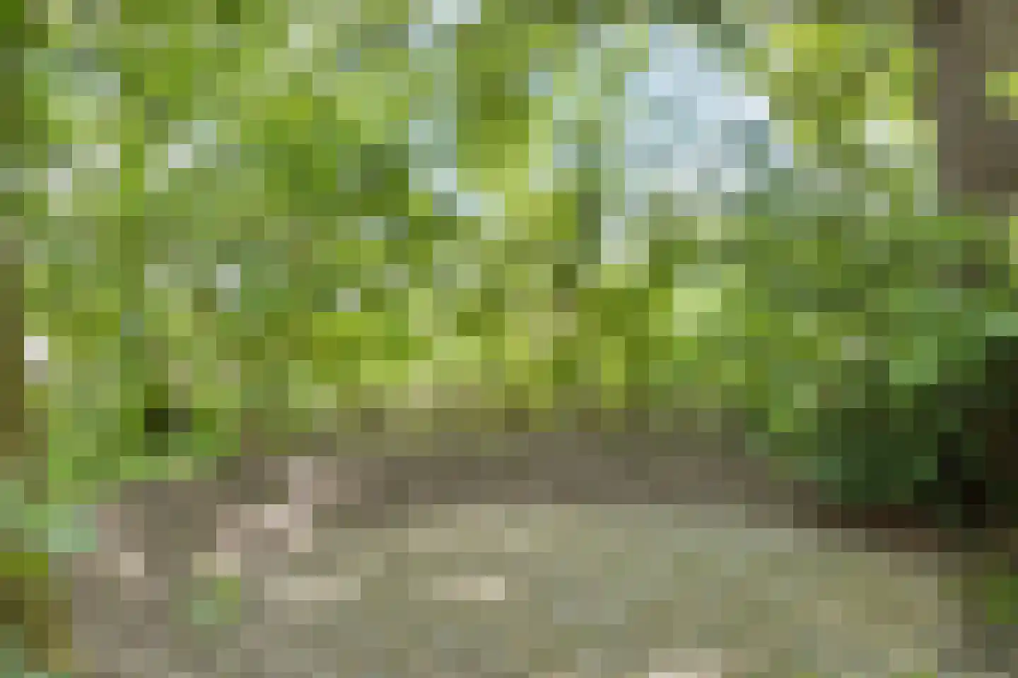 Witteweg 33 Langeveen thumbnail 59