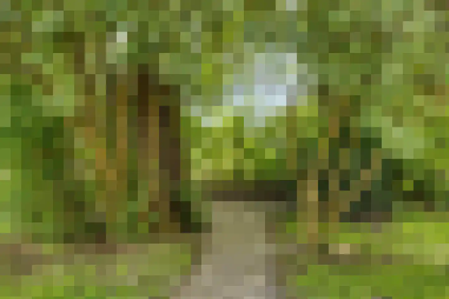 Witteweg 33 Langeveen thumbnail 60
