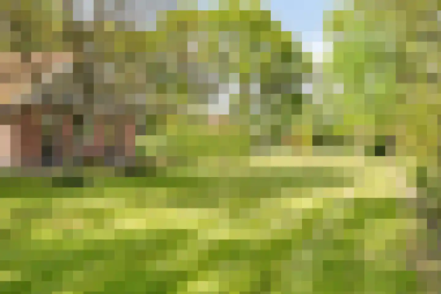 Witteweg 33 Langeveen thumbnail 61