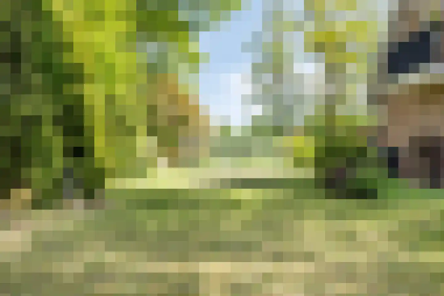 Witteweg 33 Langeveen thumbnail 63
