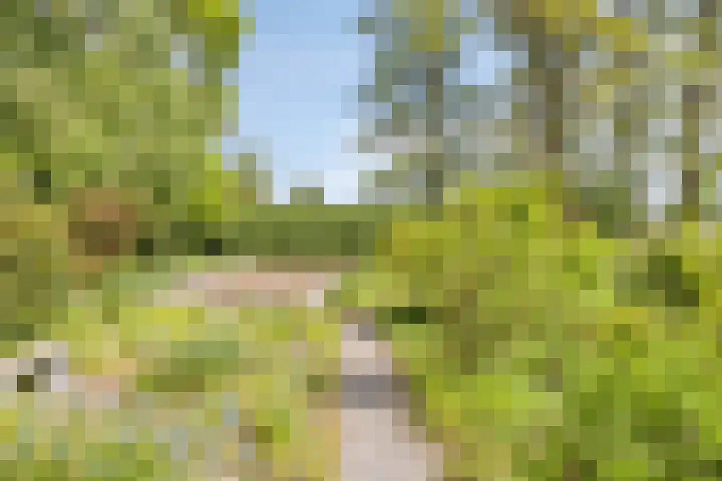 Witteweg 33 Langeveen thumbnail 64