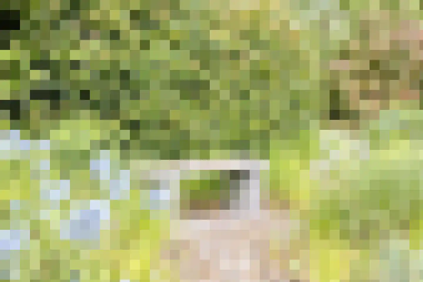 Witteweg 33 Langeveen thumbnail 65