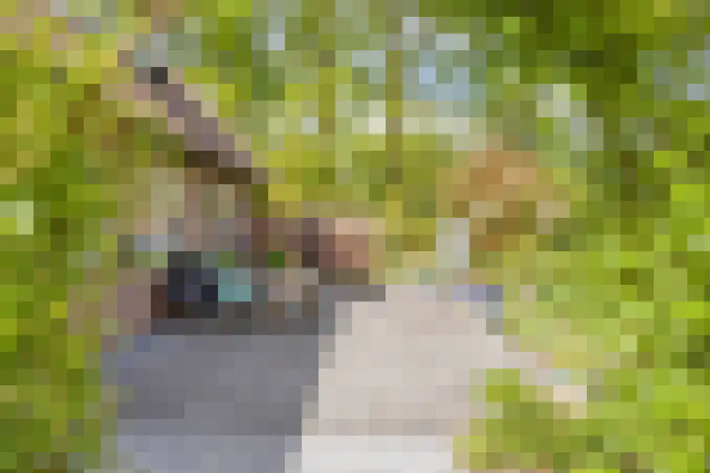 Witteweg 33 Langeveen thumbnail 66