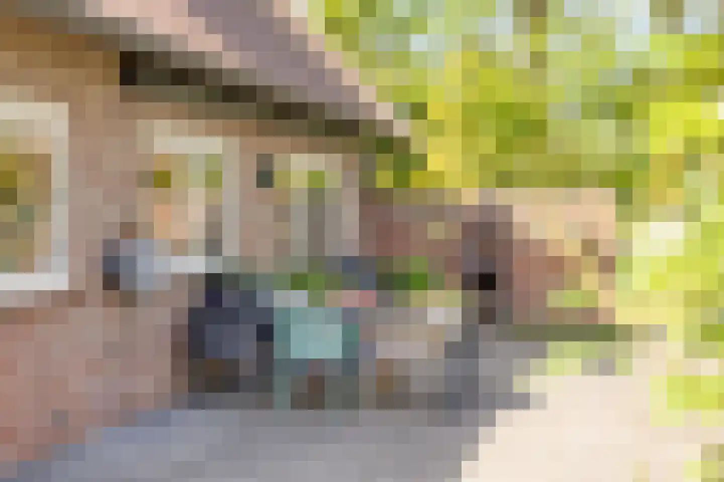 Witteweg 33 Langeveen thumbnail 67