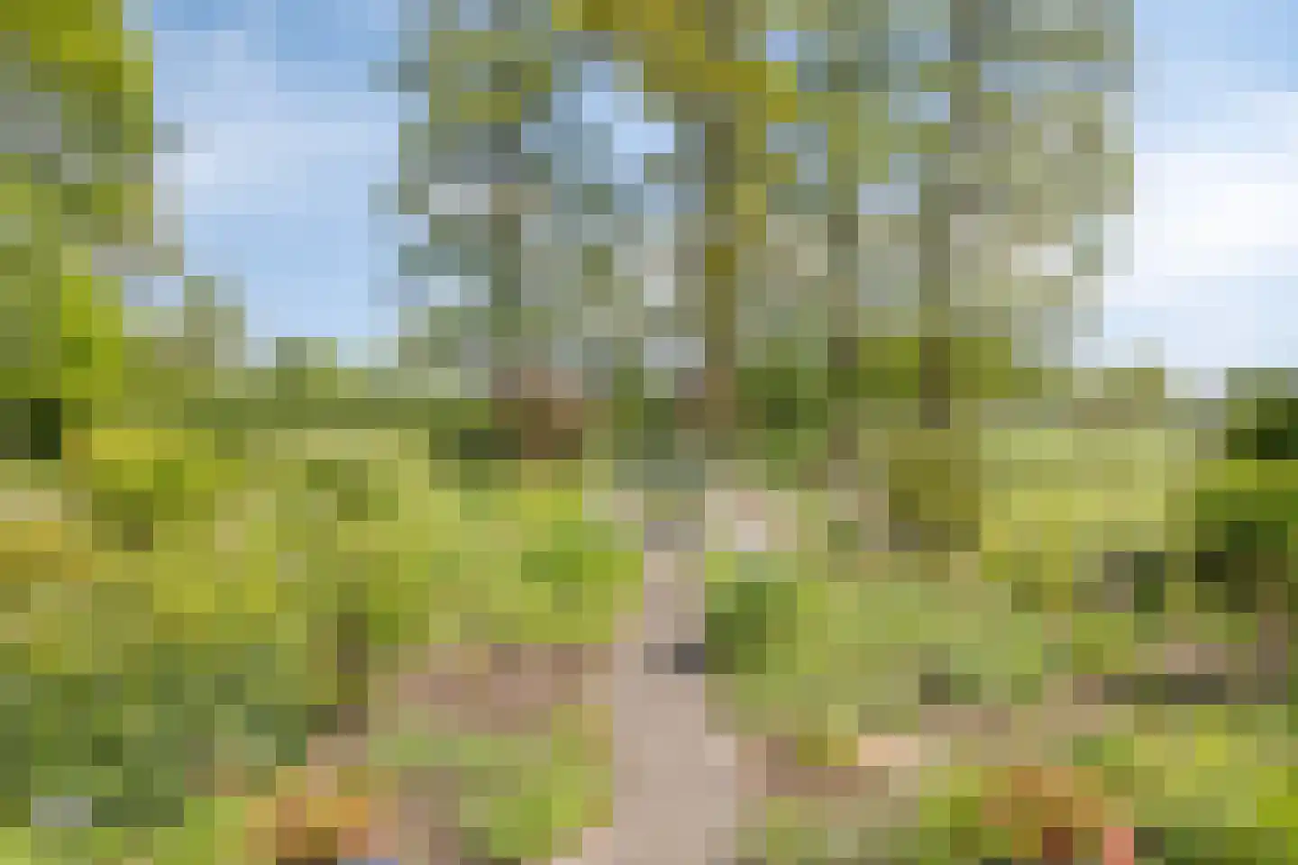 Witteweg 33 Langeveen thumbnail 69
