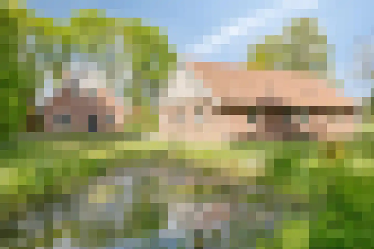 Witteweg 33 Langeveen thumbnail 71