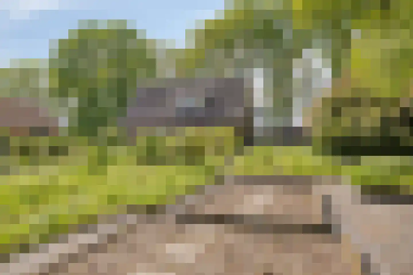 Witteweg 33 Langeveen thumbnail 72