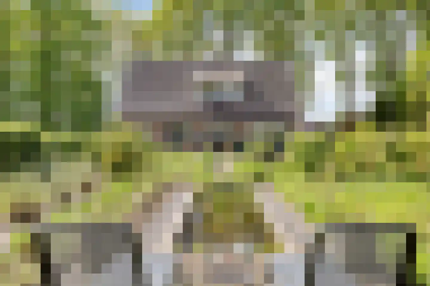 Witteweg 33 Langeveen thumbnail 73