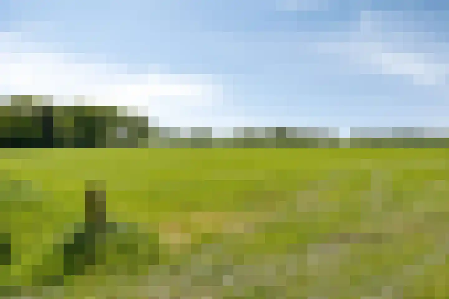 Witteweg 33 Langeveen thumbnail 75