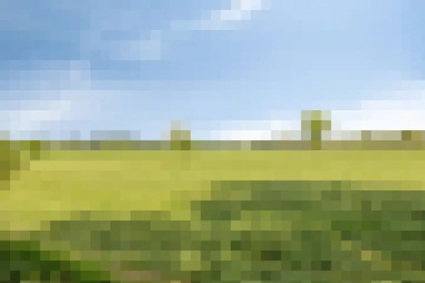 Witteweg 33 Langeveen thumbnail 76