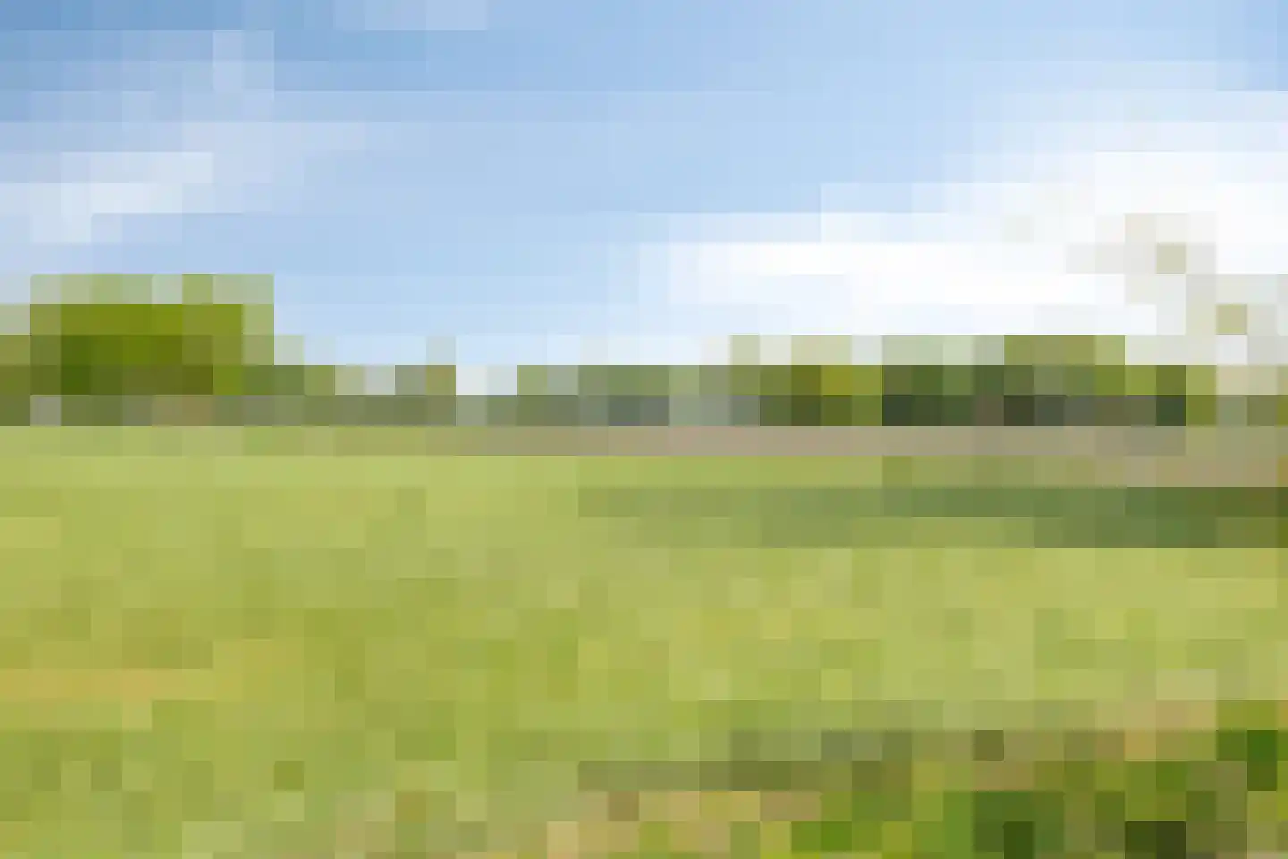 Witteweg 33 Langeveen thumbnail 77