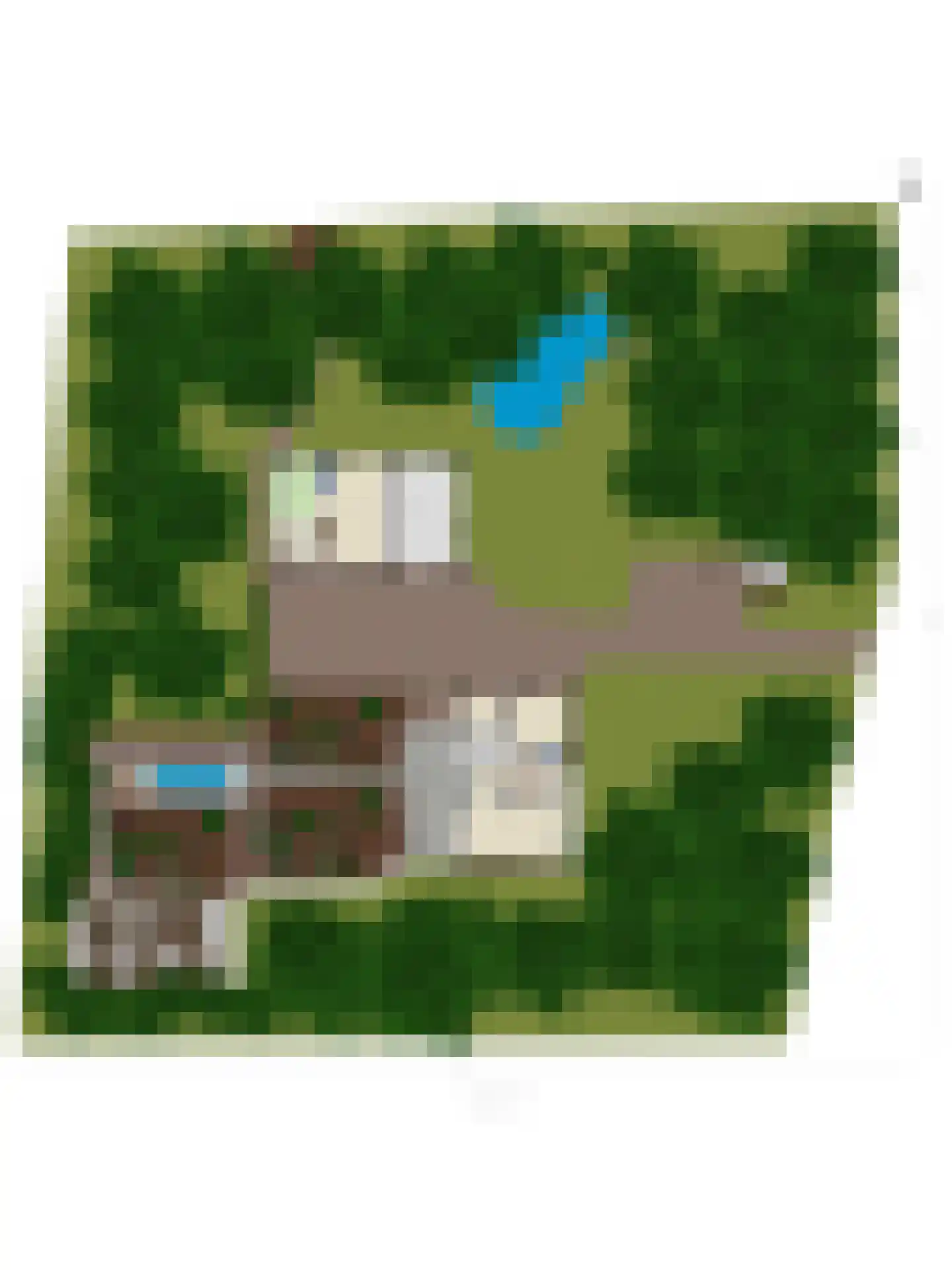 Witteweg 33 Langeveen thumbnail 78