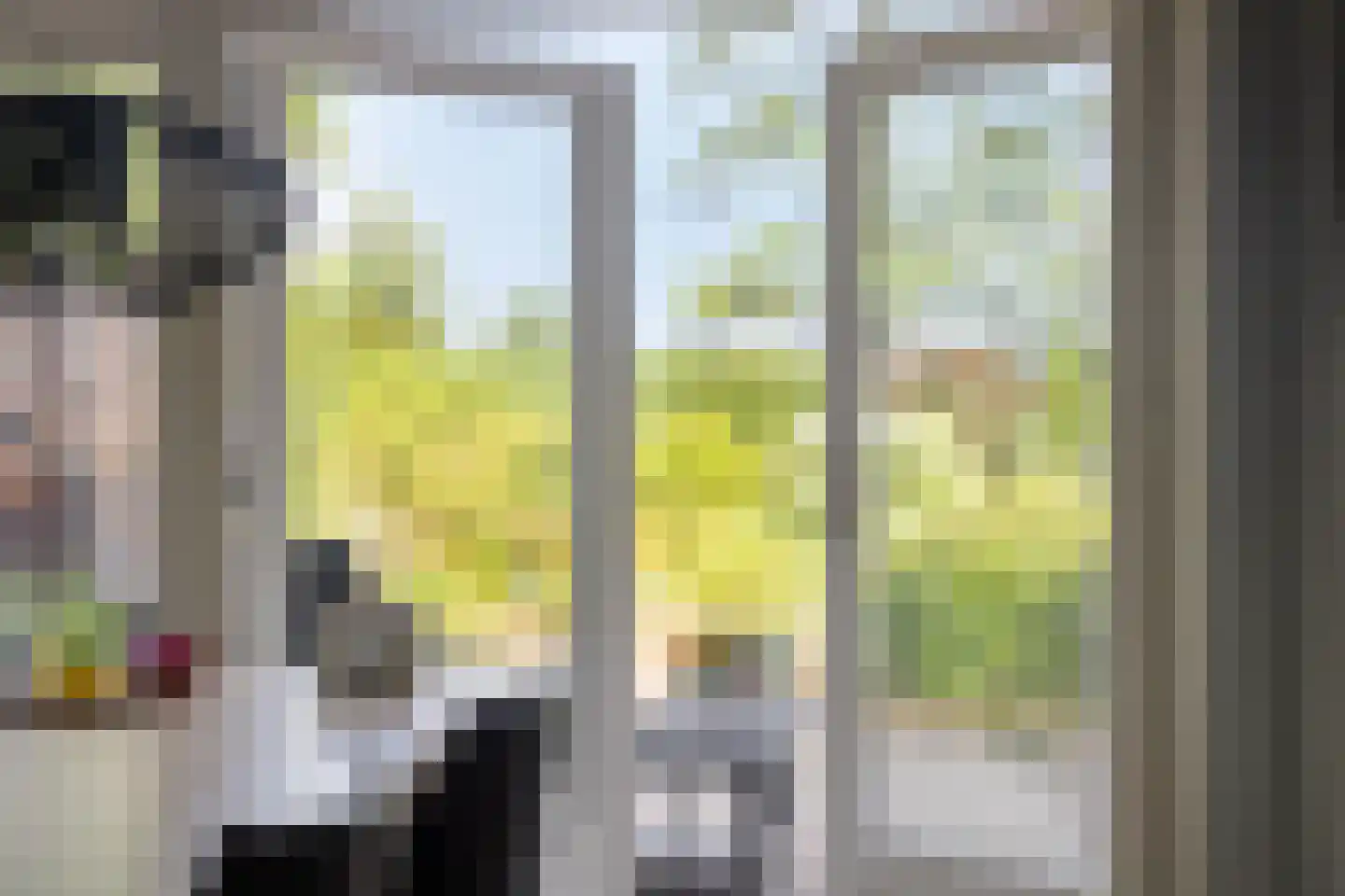 Witteweg 33 Langeveen thumbnail 9