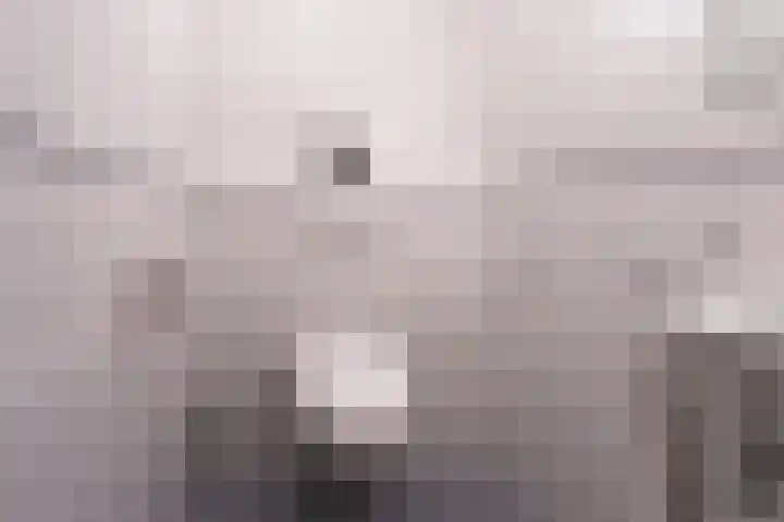 Witteweg 4 d Plasmolen thumbnail 18
