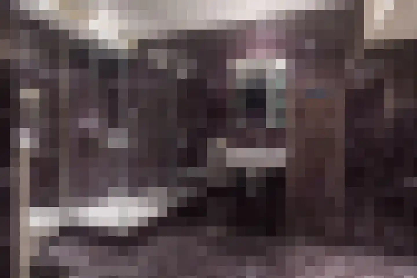 Witteweg 4 r Plasmolen thumbnail 14