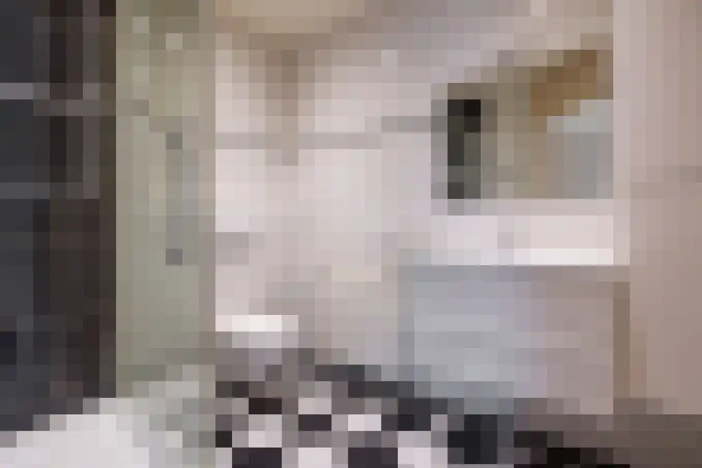 Witteweg 4 r Plasmolen thumbnail 4