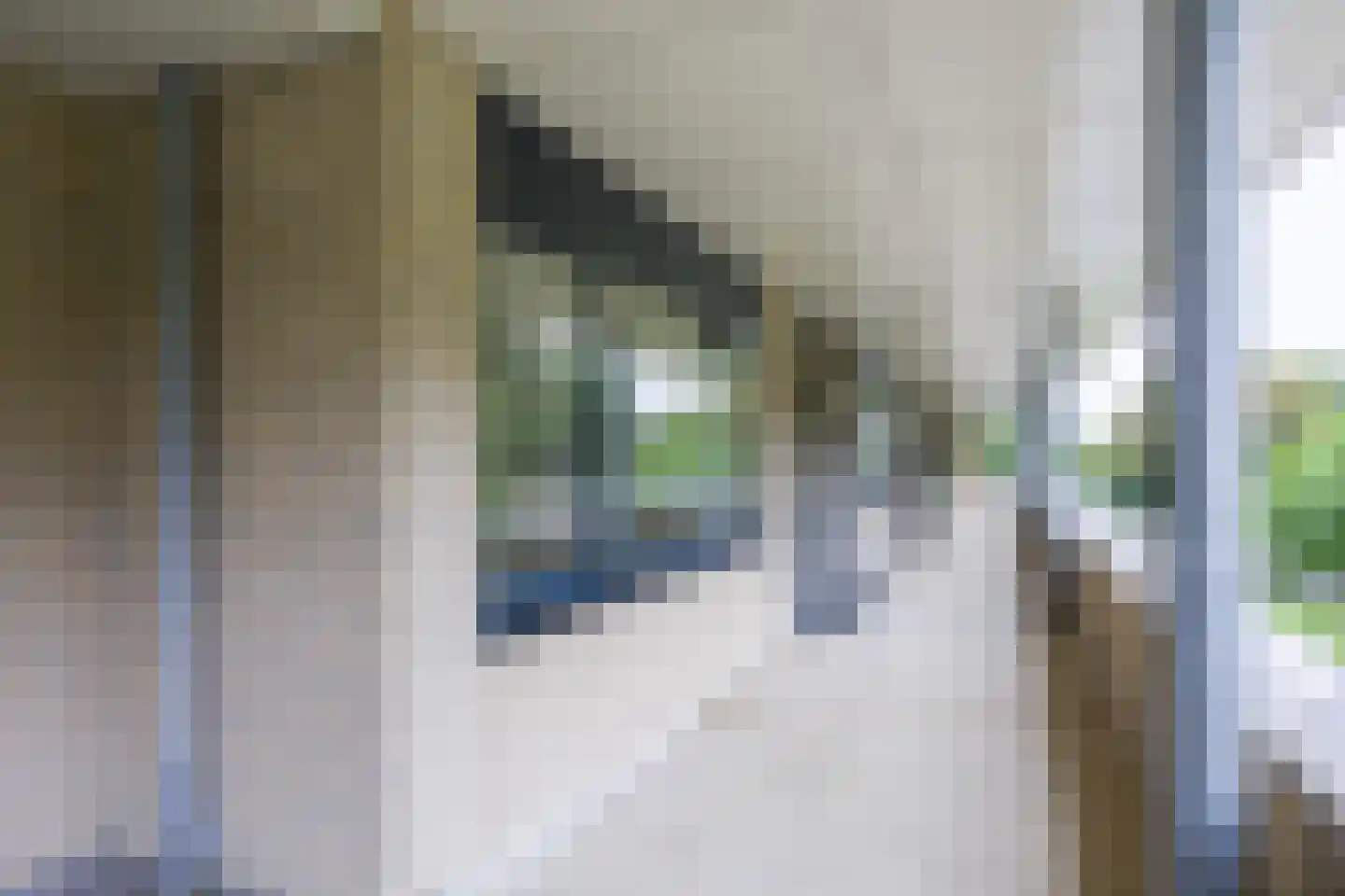 Witteweg 4 r Plasmolen thumbnail 8