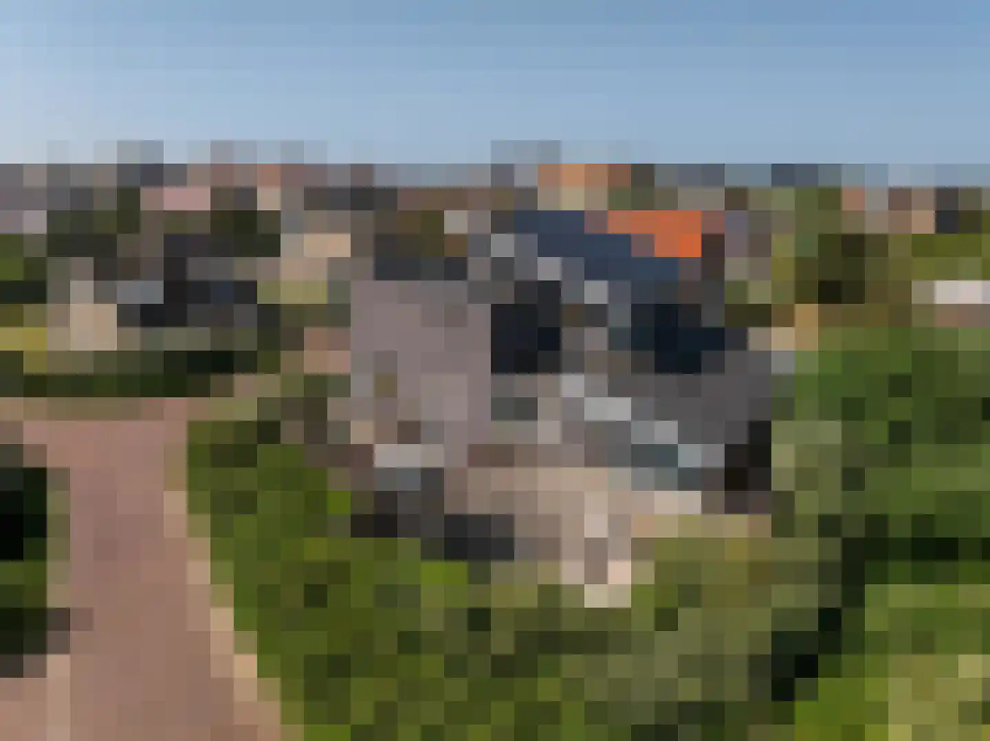 Witteweg 5 Bergen aan Zee