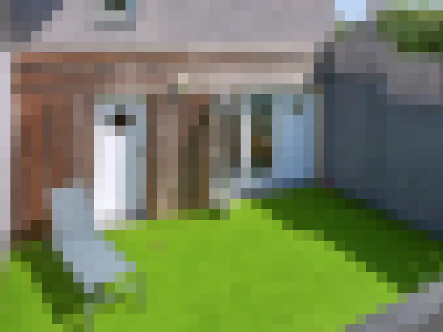 Witteweg 5 Bergen aan Zee thumbnail 23