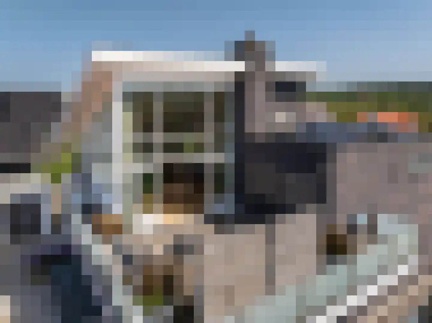 Witteweg 5 Bergen aan Zee thumbnail 4