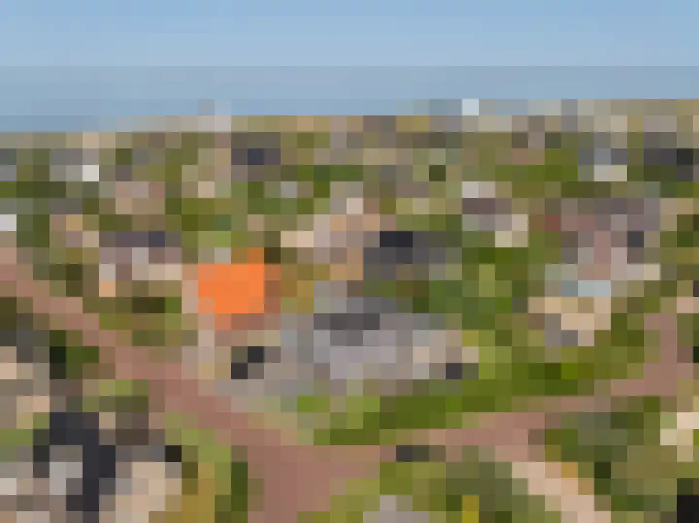Witteweg 5 Bergen aan Zee thumbnail 53
