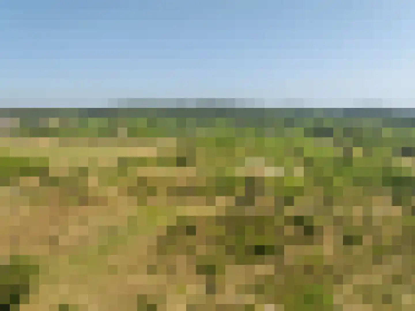 Witteweg 5 Bergen aan Zee thumbnail 56