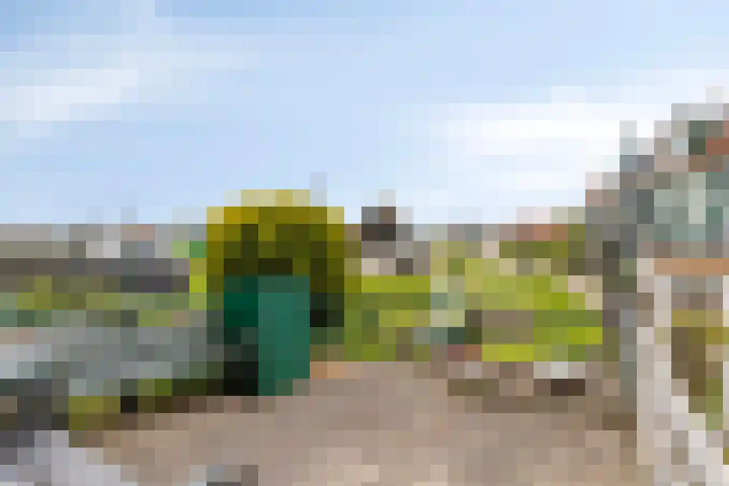 Wittewerf 2 Marken thumbnail 25