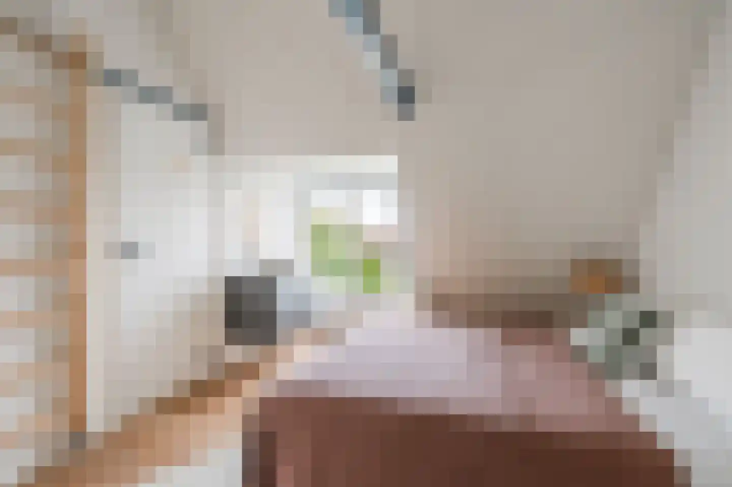 Wittewerf 23 Marken thumbnail 24
