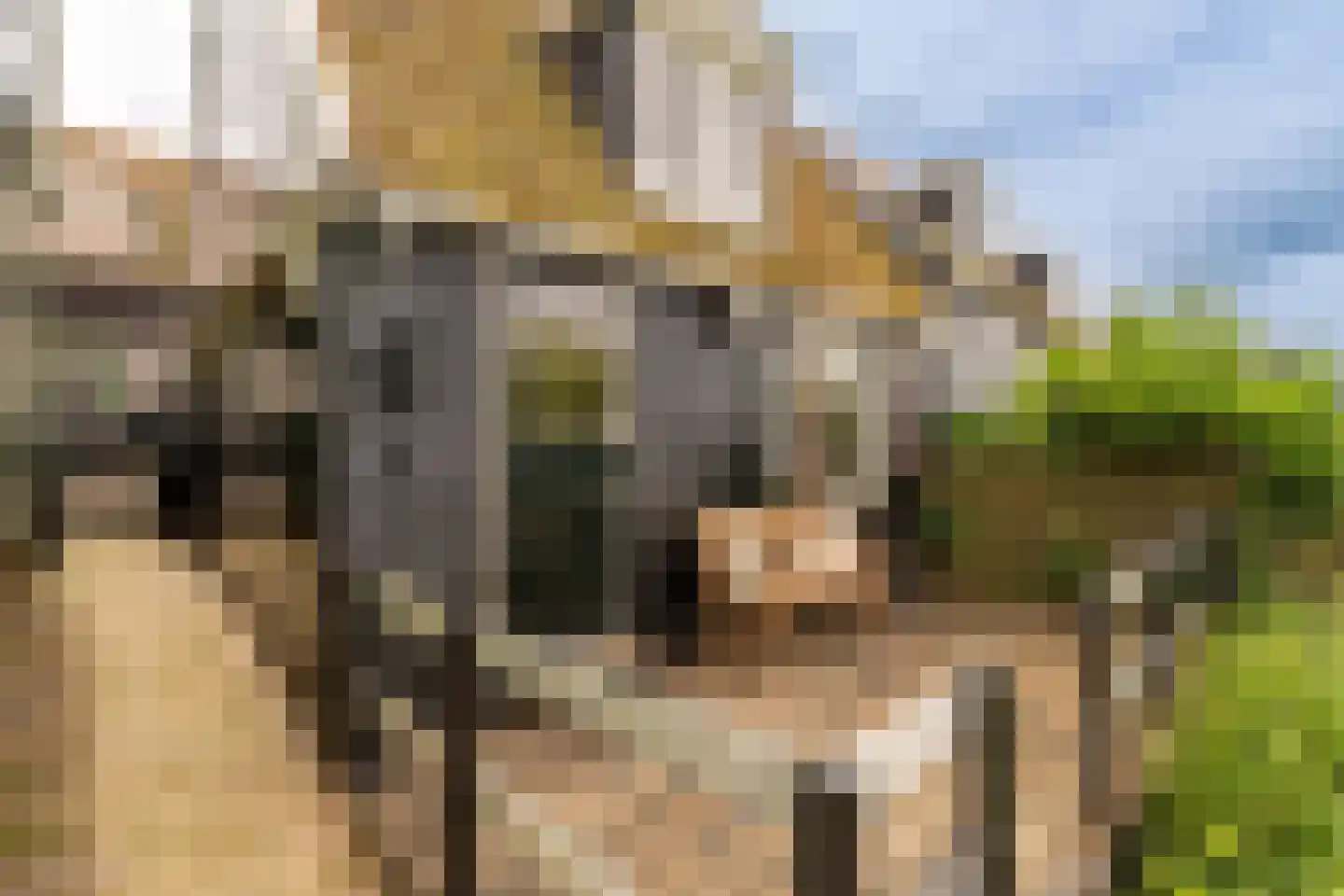 Wittewerf 23 Marken thumbnail 33