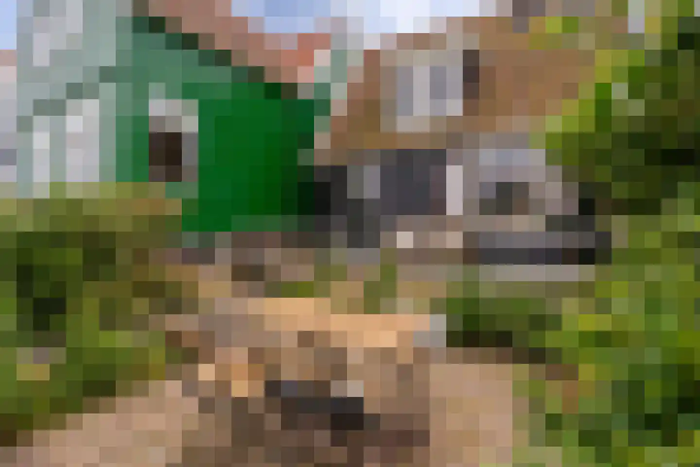 Wittewerf 23 Marken thumbnail 34