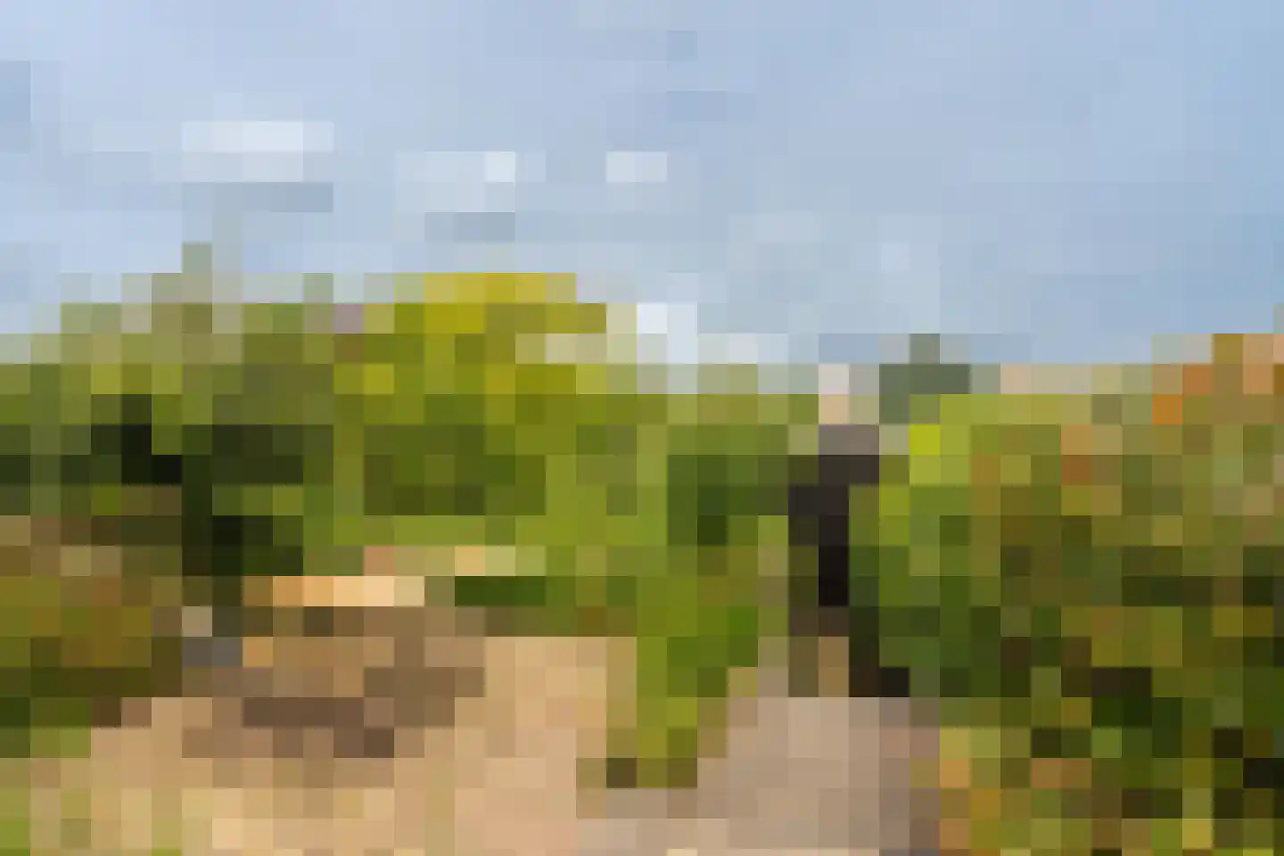 Wittewerf 23 Marken thumbnail 35