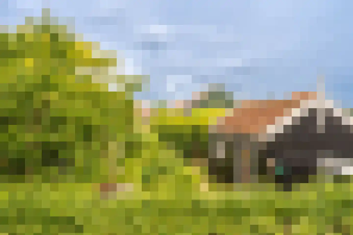 Wittewerf 23 Marken thumbnail 36