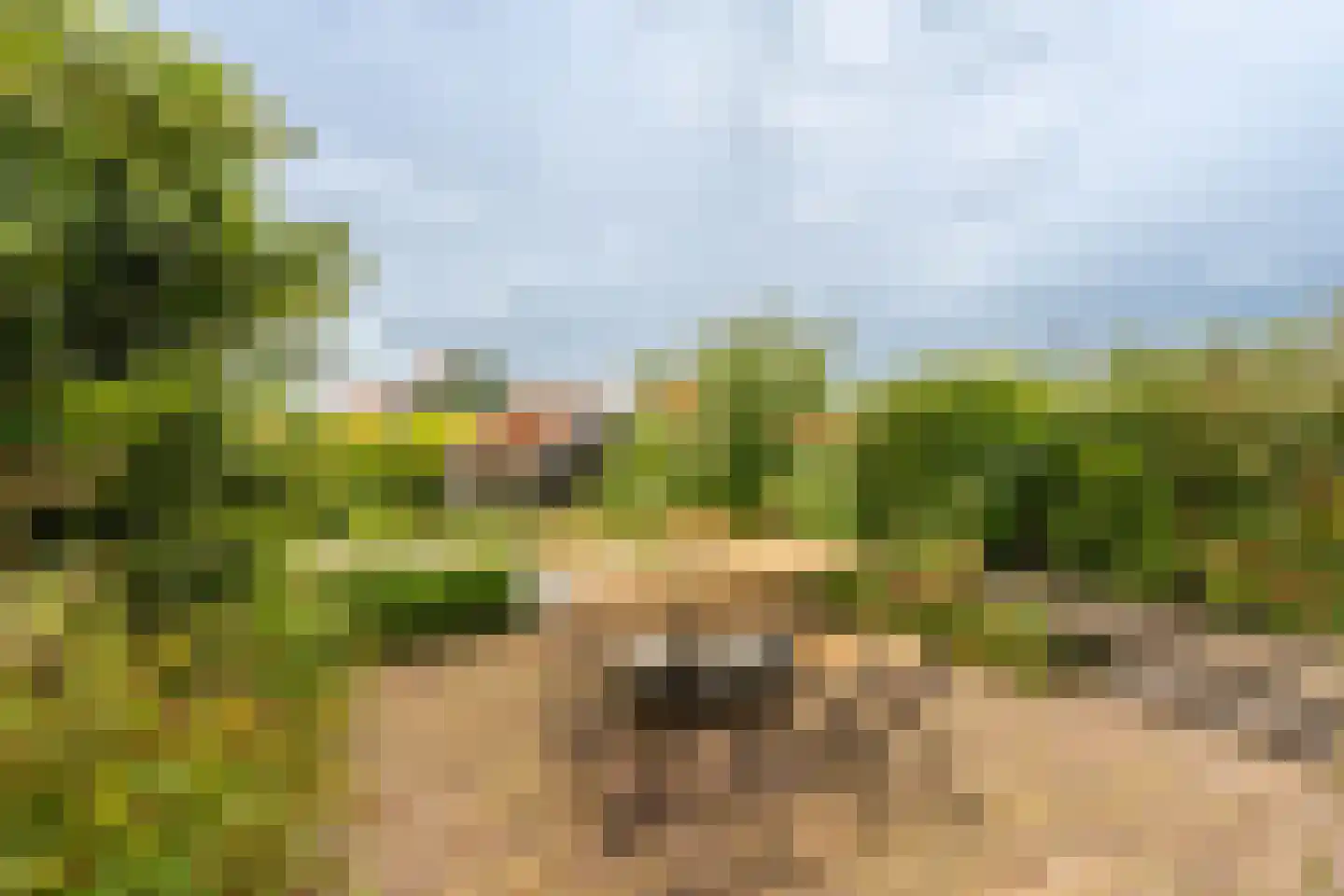 Wittewerf 23 Marken thumbnail 37
