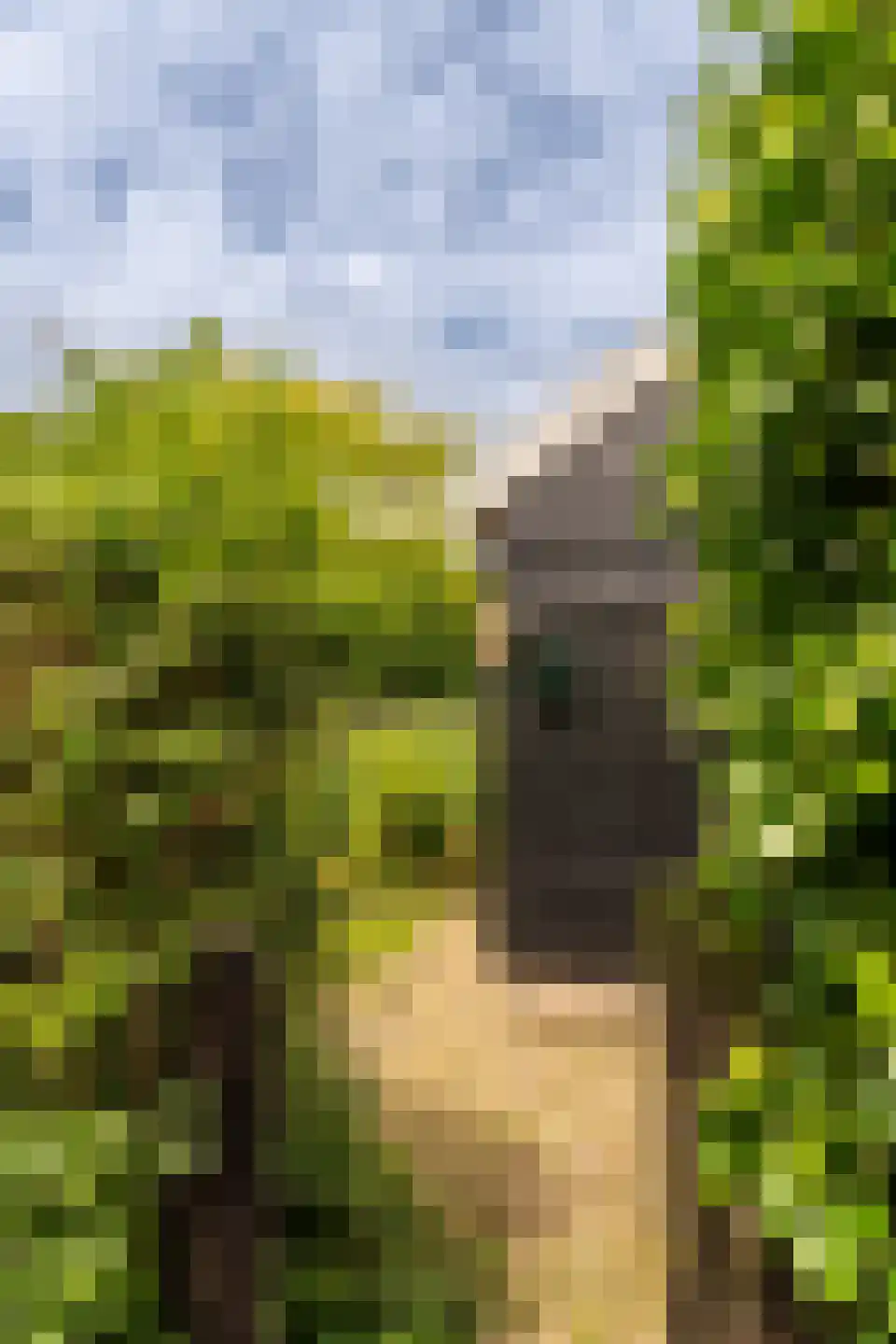 Wittewerf 23 Marken thumbnail 38