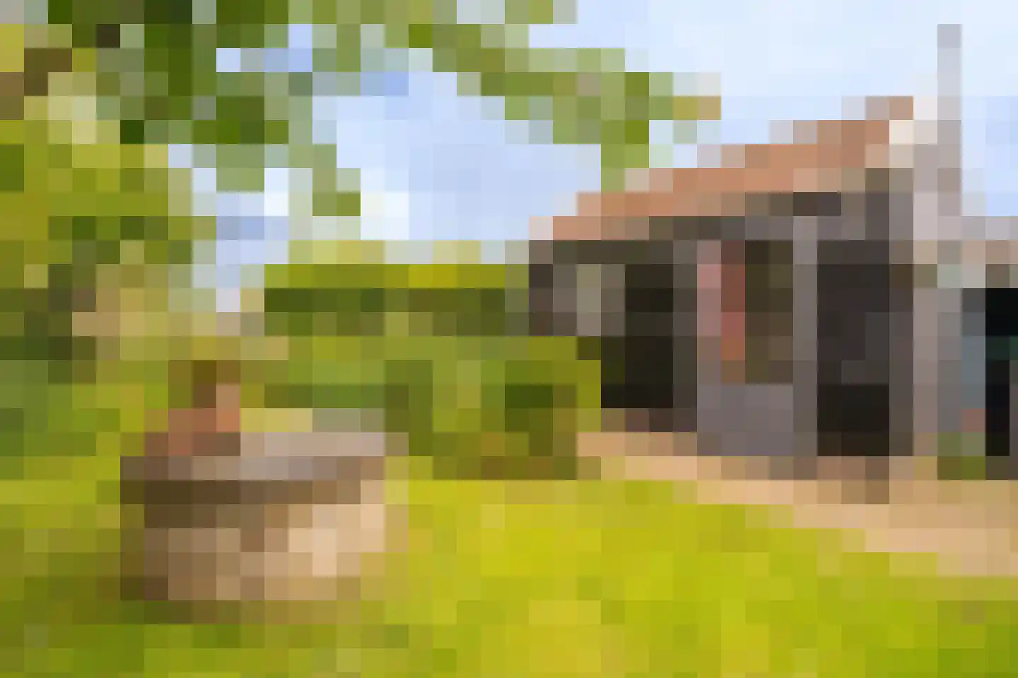 Wittewerf 23 Marken thumbnail 39