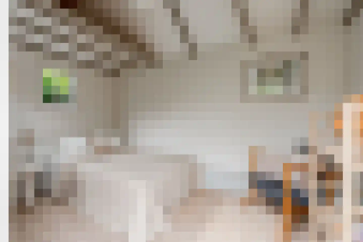 Wittewerf 23 Marken thumbnail 40