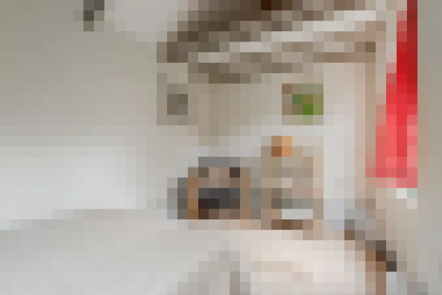 Wittewerf 23 Marken thumbnail 42