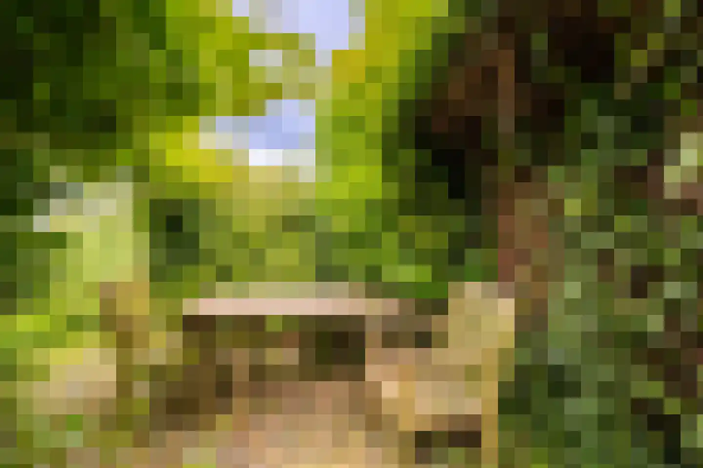 Wittewerf 23 Marken thumbnail 44